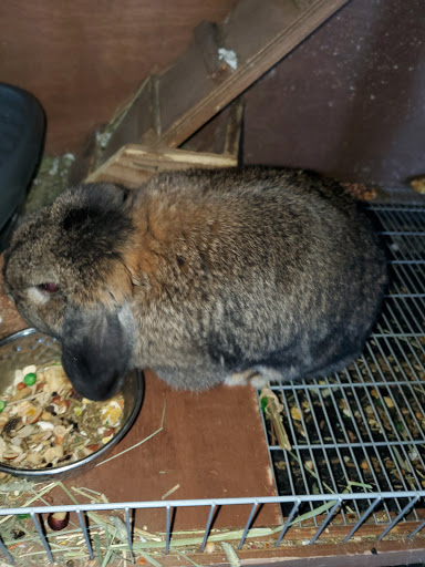 Pet Store «Southside Aquatics», reviews and photos, 2039 Pleasanton Rd, San Antonio, TX 78221, USA