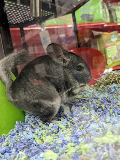 Pet Supply Store «Petco Animal Supplies», reviews and photos, 3012 Bridgepointe Pkwy, San Mateo, CA 94404, USA