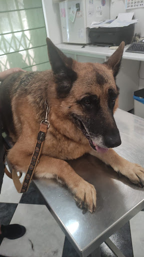 Cevecam Centro Veterinario en Cúllar Vega