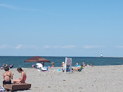 Conneaut Township Beach'in fotoğrafı vahşi alan