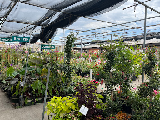 Plant Nursery «San Gabriel Nursery & Florist», reviews and photos, 632 S San Gabriel Blvd, San Gabriel, CA 91776, USA