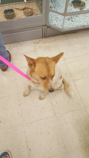 Pet Store «Petsway», reviews and photos, 1717 W Kearney St, Springfield, MO 65803, USA