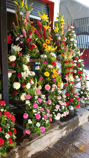 Floreria San juditas