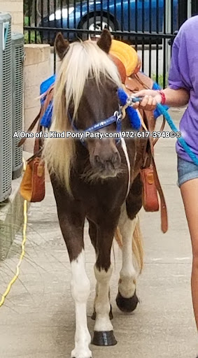 Zoo «A One of A Kind Pony Party», reviews and photos, 912 Bells Chapel Cir, Waxahachie, TX 75165, USA