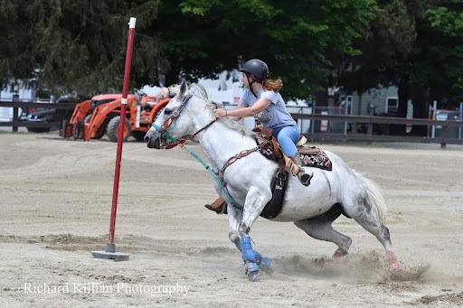Dog Park «Thomas Bull Memorial Park», reviews and photos, 211 New York 416, Montgomery, NY 12549, USA