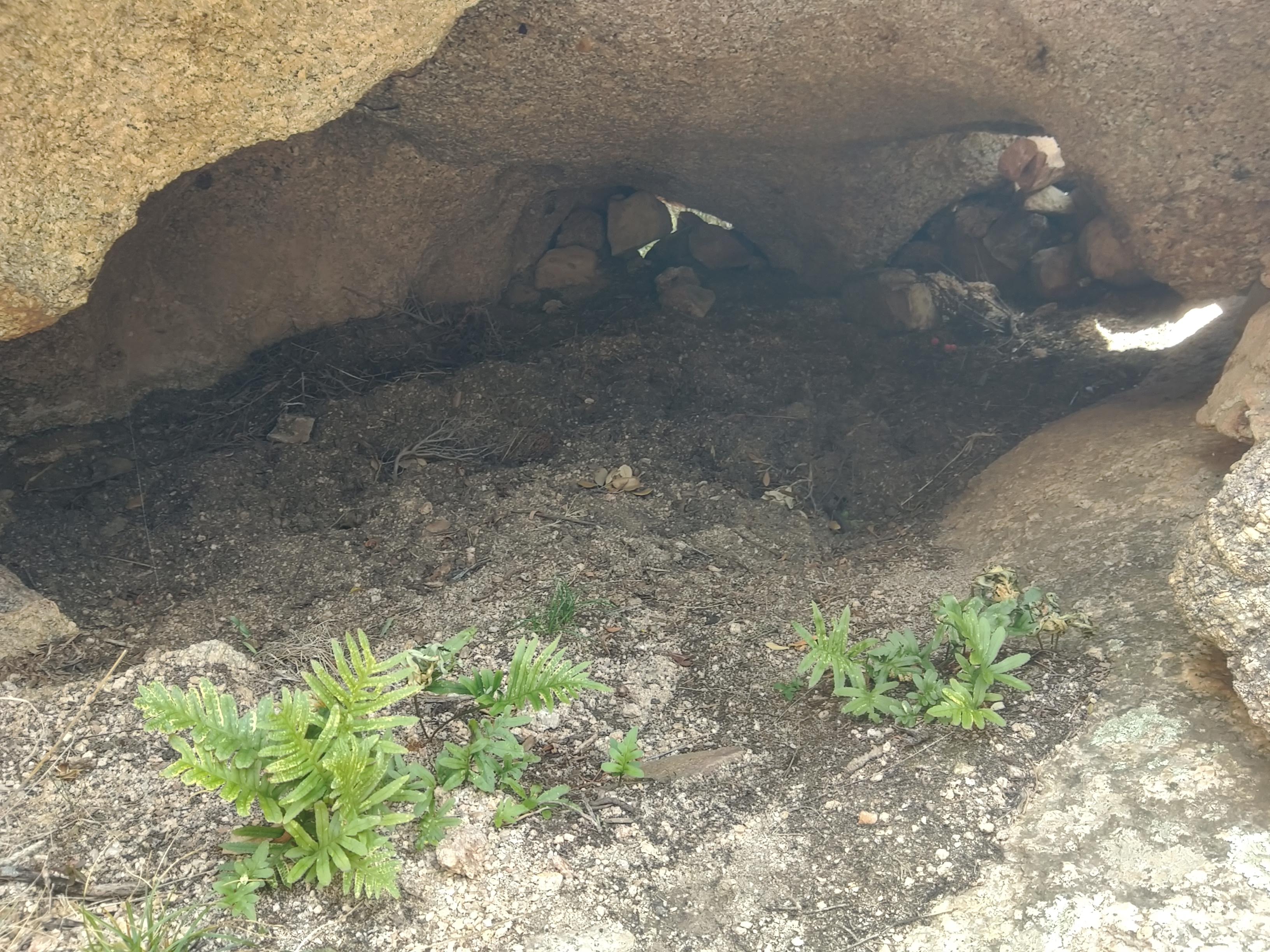 Photo n° 4 de l'avis de Davy.i fait le 05/04/2019 à 17:40