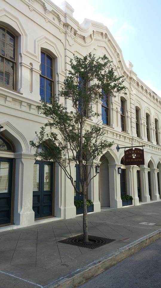 The Galveston Lawyers Galveston, TX 77550 Services & Reviews