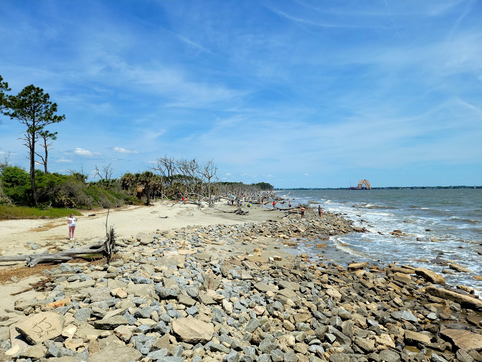 Foto van Driftwood beach met turquoise water oppervlakte