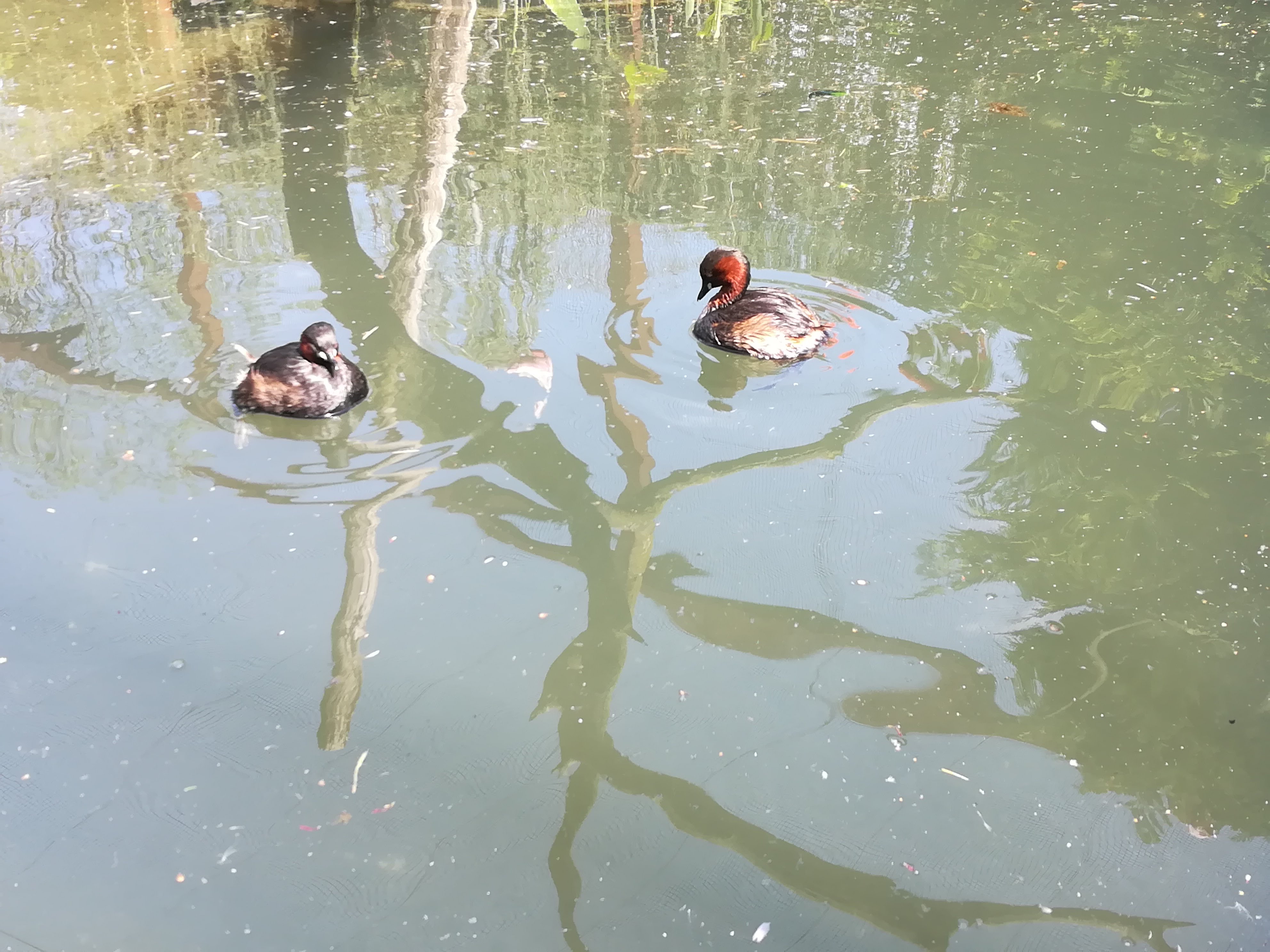 Photo n° 40 de l'avis de Sarah.L fait le 21/04/2018 à 18:44