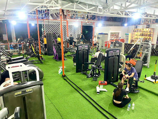 Af1qippzzpzllym4wyfqgcr5otttrrurlfqinnmoaisd