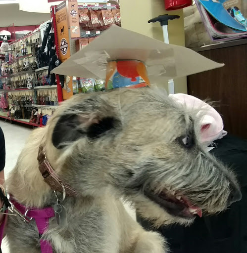 Pet Supply Store «Petco Animal Supplies», reviews and photos, 1331 Hooper Ave, Toms River, NJ 08753, USA