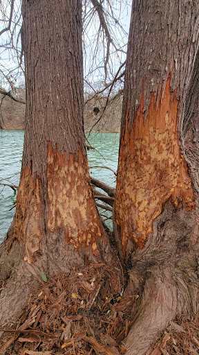 Tourist Attraction «Stonehenge II», reviews and photos, 120 Point Theatre Rd S, Ingram, TX 78025, USA