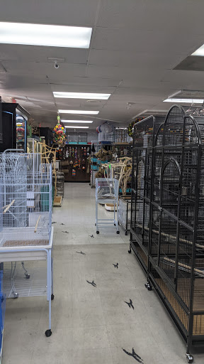 Bird Shop «Arizona Bird Store», reviews and photos, 565 S Dobson Rd, Mesa, AZ 85202, USA