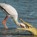 Photo n°1 de l'avis de HERR.A fait le 24/07/2021 à 18:10 sur le  Restaurant Storchennest à Kempten