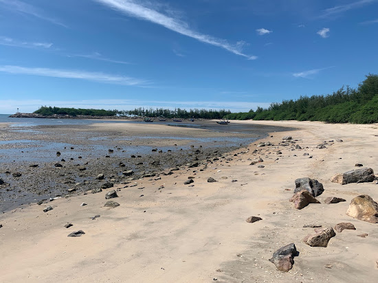 Forest Beach