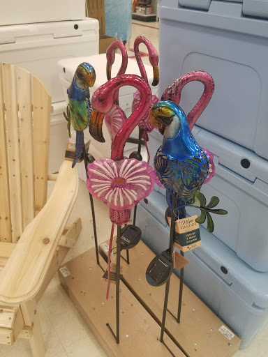 Hardware Store «Gavins Ace Hardware», reviews and photos, 16025 San Carlos Blvd, Fort Myers, FL 33908, USA