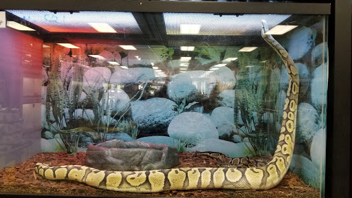 Dog Breeder «Petland Dunwoody», reviews and photos, 4733 Ashford Dunwoody Rd NE, Dunwoody, GA 30338, USA