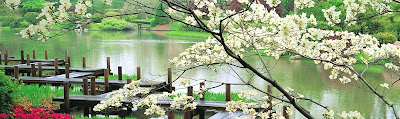 Tai Chi Relecq-Kerhuon à Le Relecq-Kerhuon