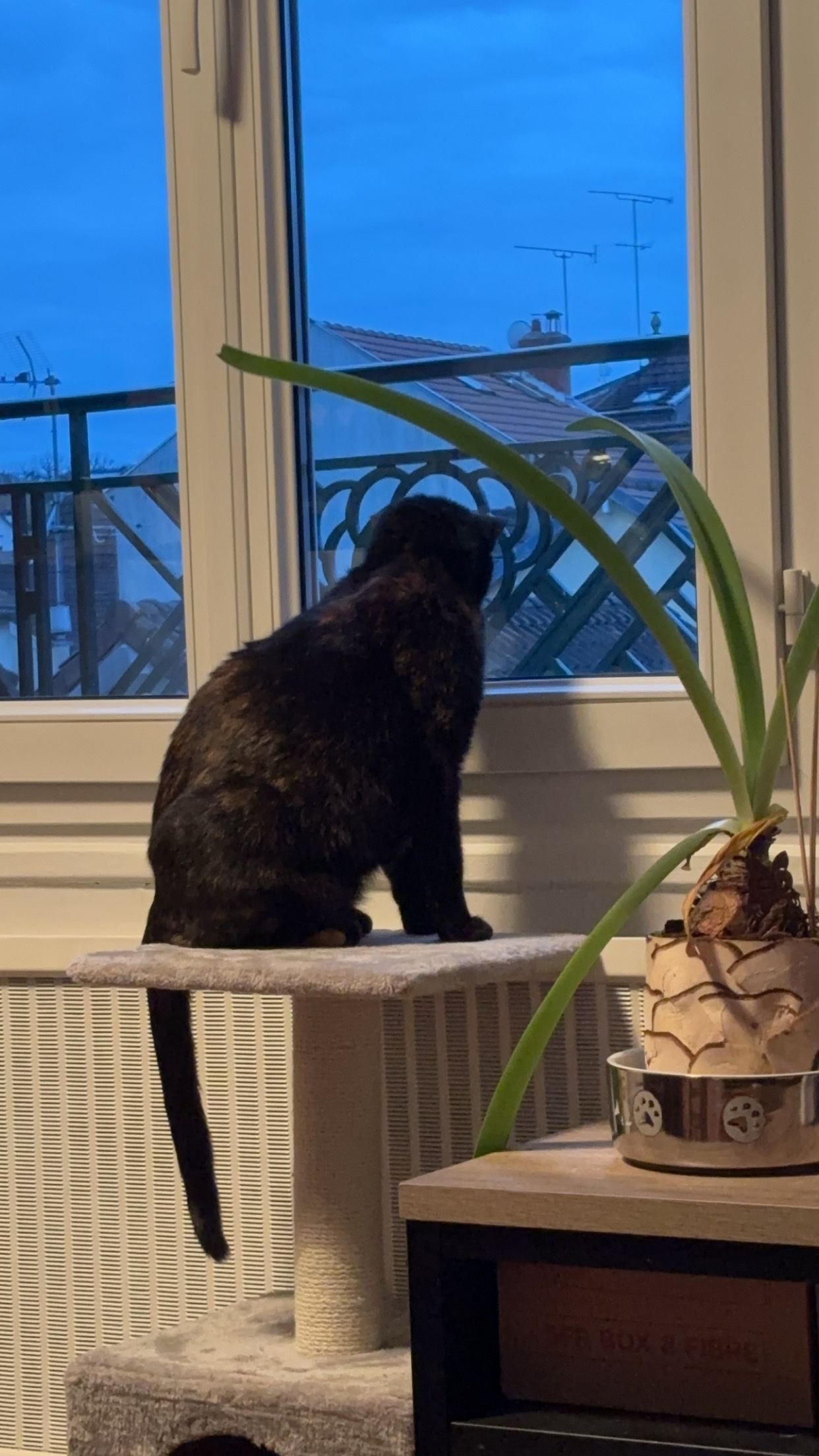 Photo n° 4 de l'avis de Aurore.a fait le 20/02/2024 à 19:47