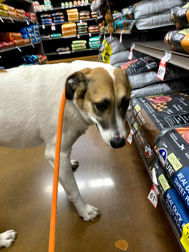 Pet Supply Store «Petco Animal Supplies», reviews and photos, 10864 Kuykendahl Rd, The Woodlands, TX 77381, USA