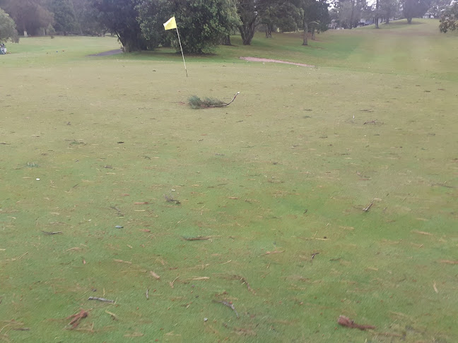 The Pines Golf Course - Golf Club