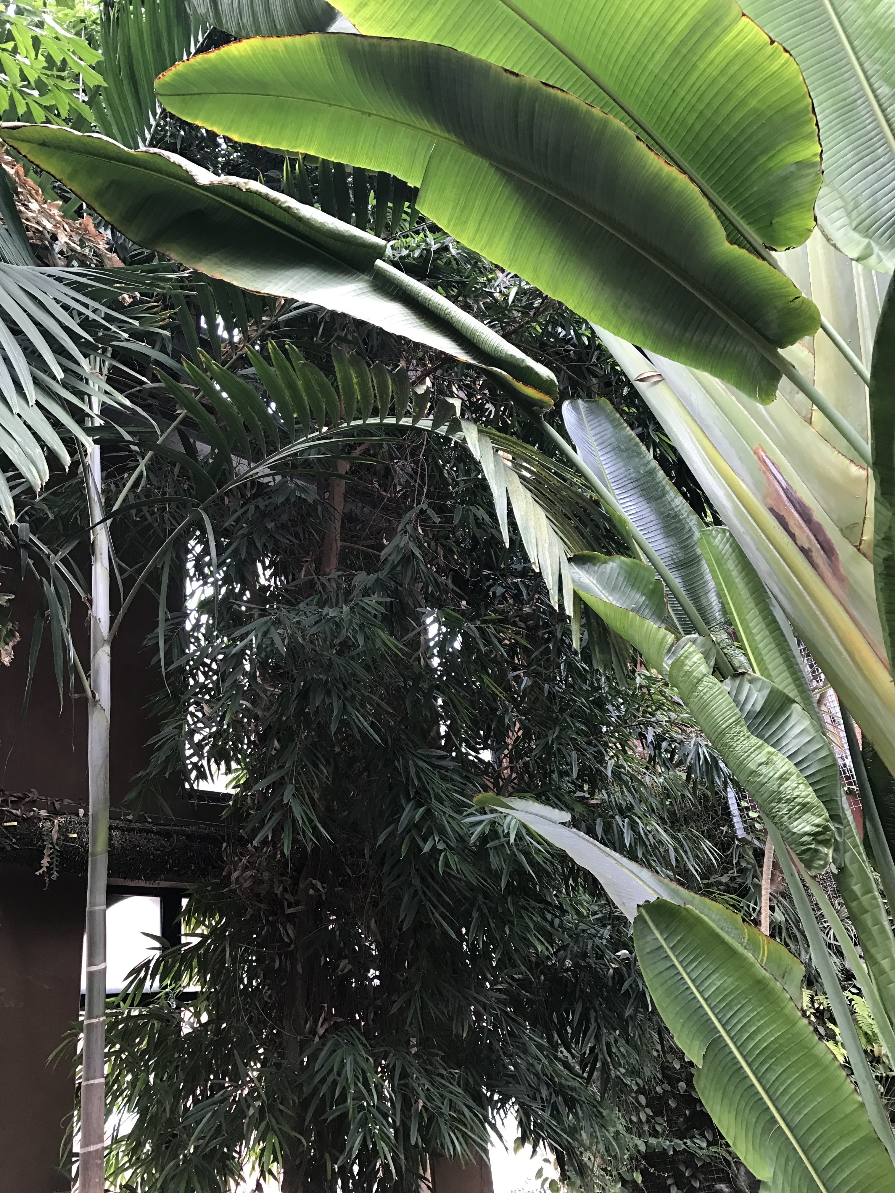 Photo n° 6 de l'avis de François.o fait le 22/05/2019 à 08:01