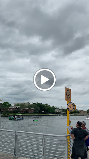 Park «Curtis Hixon Waterfront Park», reviews and photos, 600 N Ashley Dr, Tampa, FL 33602, USA