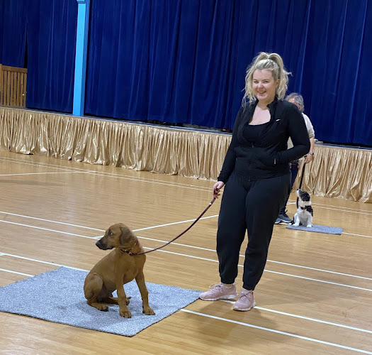 Reviews of DogConfidence in Colchester - Dog trainer