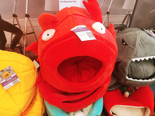 Supermarket «ALDI», reviews and photos, 297 Armand Hammer Blvd, Pottstown, PA 19464, USA