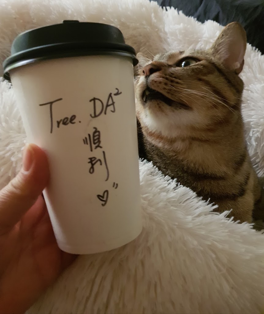 Tree.DA²茶飲（西門/飲料/黑糖珍珠鮮奶/3Q奶茶/ 버블티/珍珠奶茶） 的照片