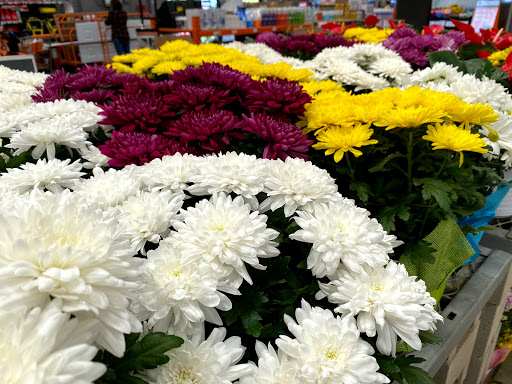The Home Depot image