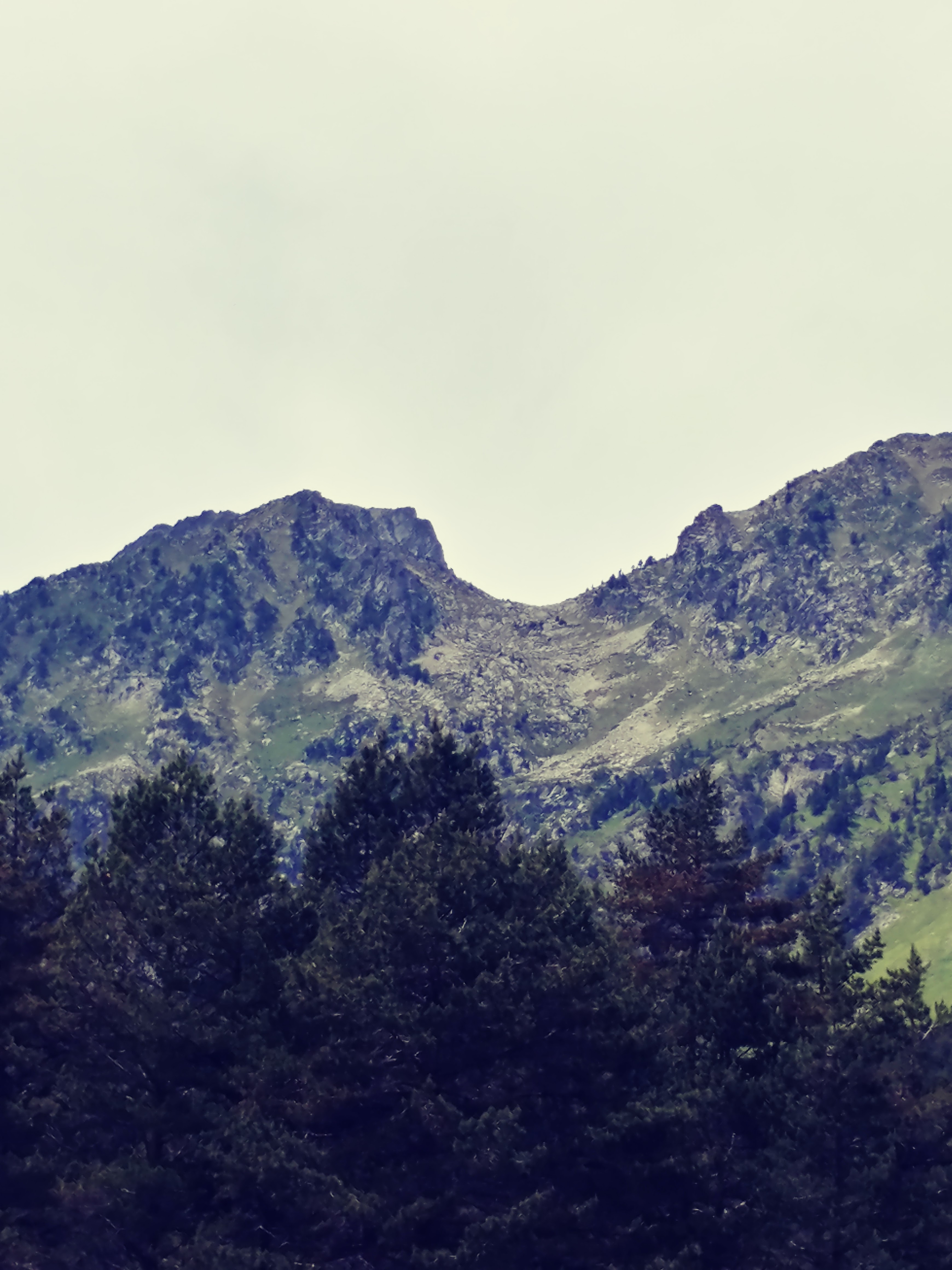 Photo n° 2 de l'avis de Sandra.a fait le 22/06/2019 à 16:37
