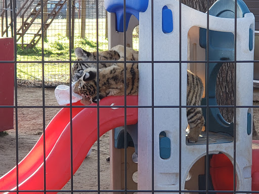 Research Institute «Center For Animal Research and Education (CARE)», reviews and photos, 245 Co Rd 3422, Bridgeport, TX 76426, USA