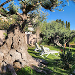 Photo n°2 de l'avis de Aspyn.o fait le 29/04/2023 à 11:32 sur le  Ristorante La Tavernetta à Scopello