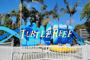 Turtle Reef image