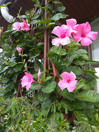 Park «Taylor Park», reviews and photos, 100 Main St, Millburn, NJ 07041, USA