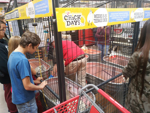 Home Improvement Store «Tractor Supply Co.», reviews and photos, 418 Napa Junction Rd, American Canyon, CA 94503, USA