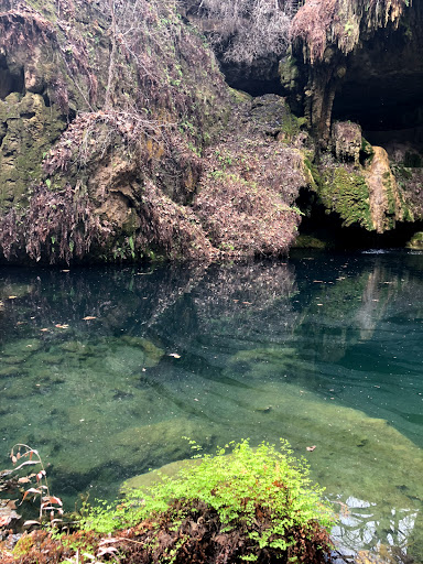 Non-Profit Organization «Westcave Outdoor Discovery Center», reviews and photos, 24814 Hamilton Pool Rd, Round Mountain, TX 78663, USA