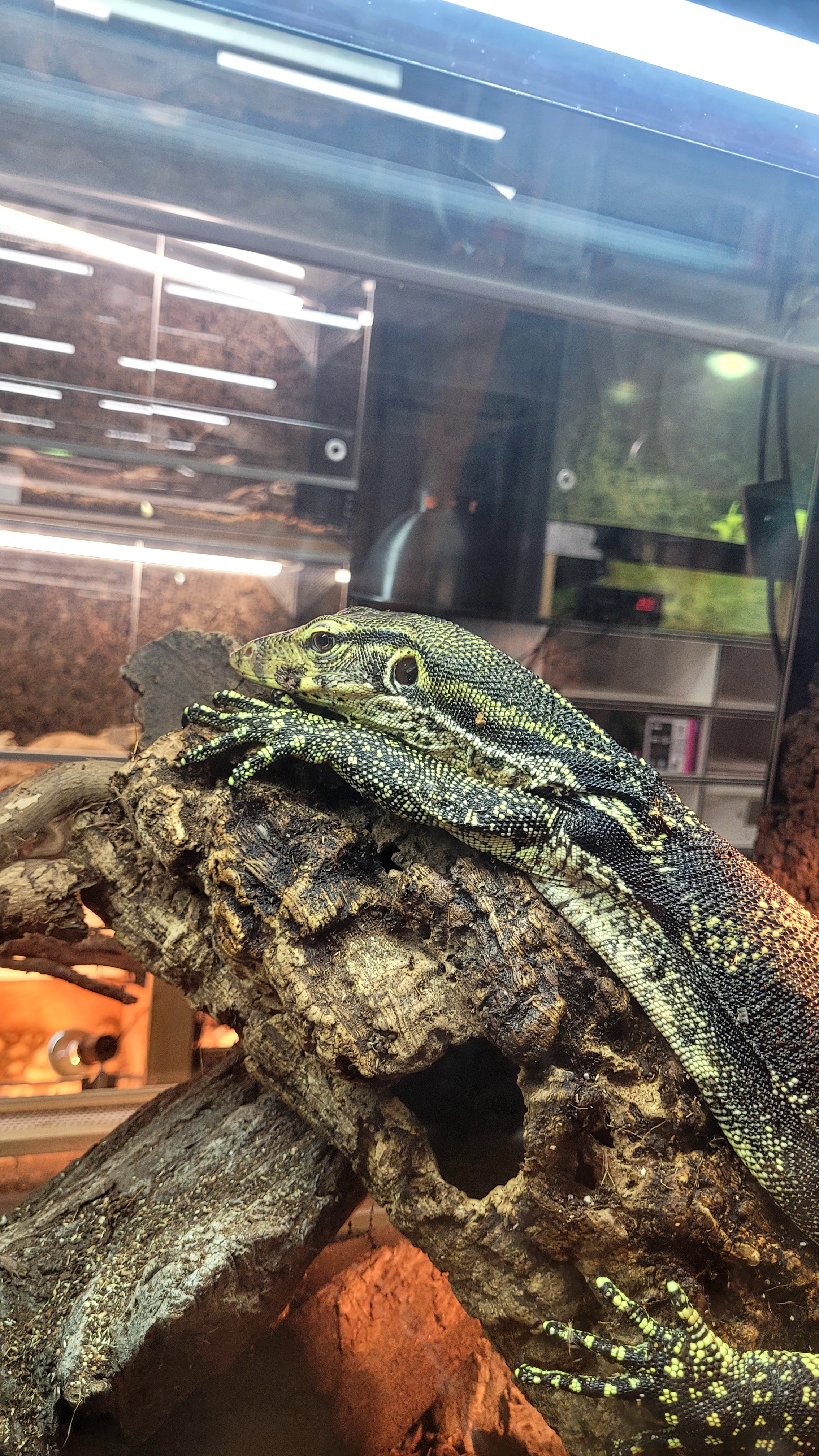 Photo n° 3 de l'avis de Anthony.e fait le 08/07/2023 à 20:58