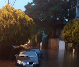 lago Texcoco Park photo