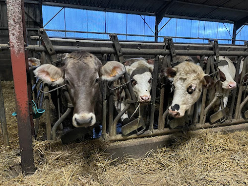 La Ferme de Nicolas à Lironville