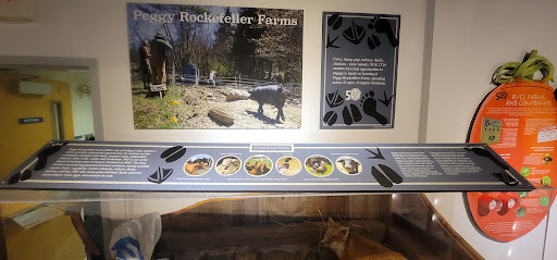 Natural History Museum «George B. Dorr Museum of Natural History», reviews and photos, 105 Eden St, Bar Harbor, ME 04609, USA