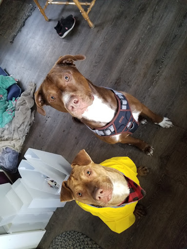 Pet Supply Store «Petco Animal Supplies», reviews and photos, 753 53rd Ave NE, Fridley, MN 55421, USA