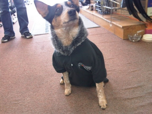 Sporting Goods Store «Play It Again Sports», reviews and photos, 2598 Willamette St, Eugene, OR 97405, USA