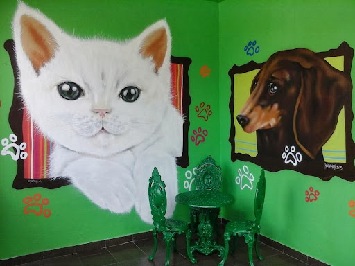 Oficina dos Animais