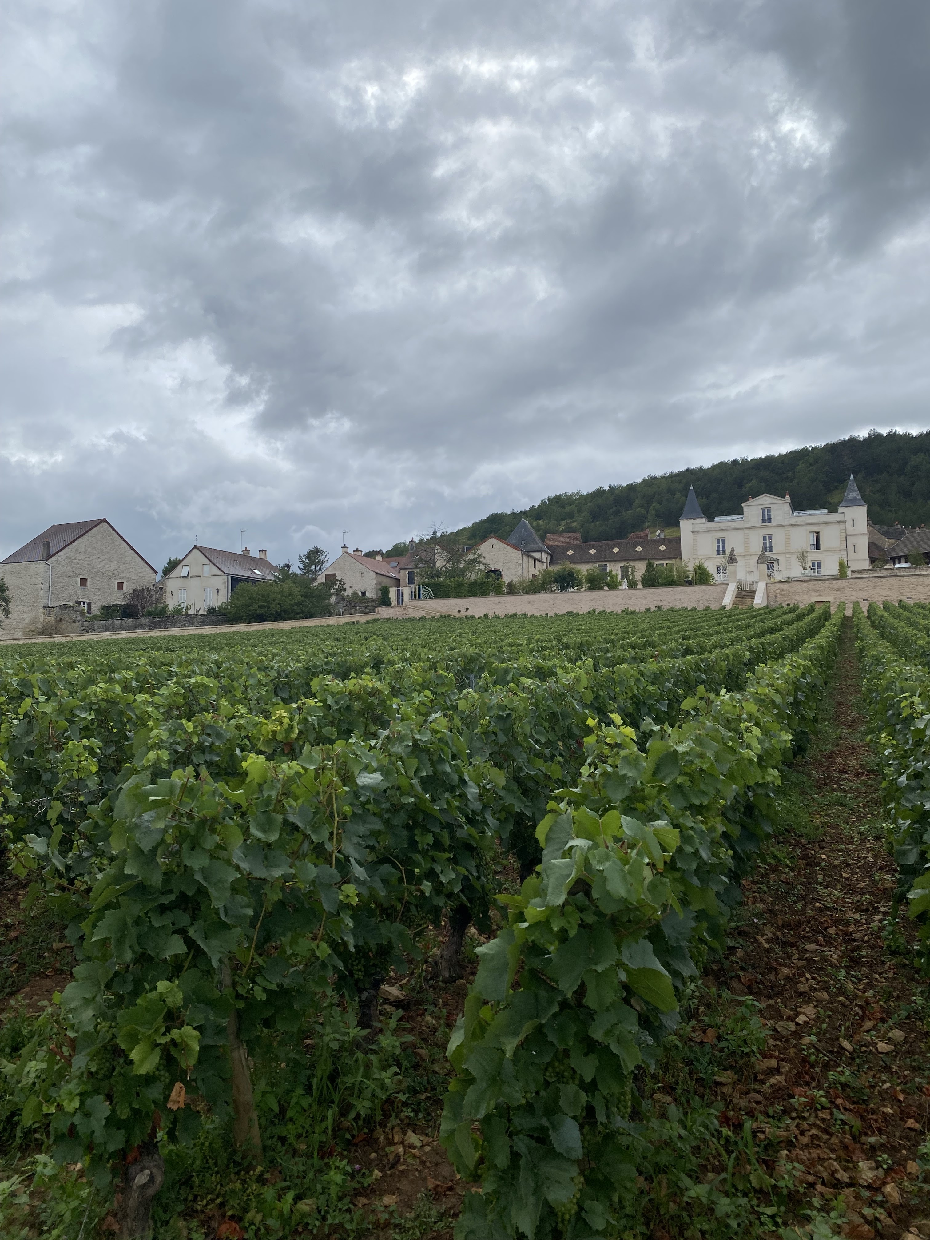Photo n° 8 de l'avis de Alexandre.a fait le 13/08/2023 à 06:14