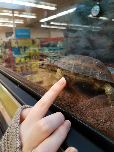 Pet Supply Store «Petco Animal Supplies», reviews and photos, 10 Sylvan St, Peabody, MA 01960, USA