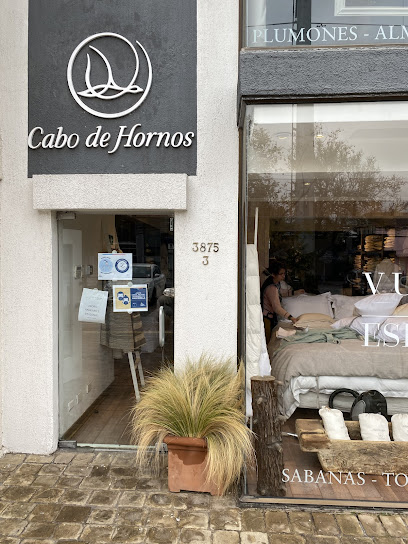 Cabo de Hornos SPA