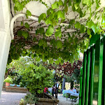 Photo n°5 de l'avis de Paolo.e fait le 18/08/2020 à 12:04 sur le  Restaurant La Terrazza Verde à Pescara