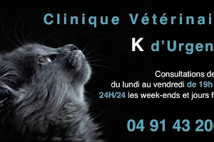 Clinique Vétérinaire K d´Urgence image